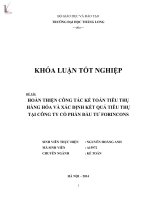 Luận văn hoàn thiện kế toán tiêu thụ hàng hóa và xác định kết quả tiêu thụ tại công ty cổ phần đầu tư FORINCONS