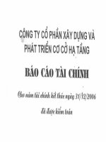 Báo cáo tài chính năm 2006 (đã kiểm toán) - Công ty Cổ phần Xây dựng và Phát triển Cơ sở Hạ tầng