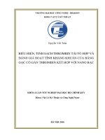 Biểu hiện, tinh sạch thrombin tái tổ hợp và đánh giá hoạt tính kháng khuẩn của băng gạc có gắn thrombin kết hợp với nano bạc