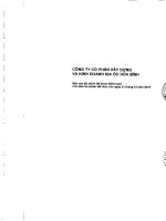 Báo cáo tài chính công ty mẹ năm 2010 (đã kiểm toán) - Công ty cổ phần Xây dựng và Kinh doanh Địa ốc Hoà Bình