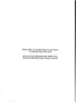 Báo cáo tài chính công ty mẹ năm 2010 (đã kiểm toán) - Tổng Công ty Cổ phần Đầu tư Xây dựng và Thương mại Việt Nam