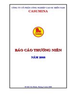 Báo cáo thường niên năm 2008 - Công ty Cổ phần Công nghiệp Cao su Miền Nam