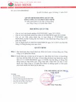 Nghị quyết Hội đồng Quản trị ngày 24-11-2010 - Tổng Công ty Cổ phần Bảo Minh