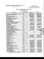 Báo cáo tài chính công ty mẹ quý 1 năm 2011 - Tổng Công ty Phân bón và Hóa chất Dầu khí-CTCP