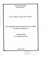 các mô hình phân bố nguồn lực tài chính tại việt nam hiện nay 