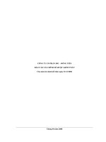 Báo cáo tài chính năm 2006 (đã kiểm toán) - Công ty Cổ phần DIC - Đồng Tiến