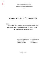 Luận văn quản trị rủi ro tín dụng tại ngân hàng thương mại cổ phần quốc tế việt nam, chi nhánh lý thường kiệt 