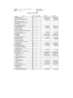 Báo cáo tài chính quý 2 năm 2011 - Công ty cổ phần Gạch Ngói Gốm Xây dựng Mỹ Xuân