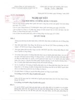 Nghị quyết đại hội cổ đông ngày 20-07-2009 - Công ty Cổ phần Xây dựng và Kinh doanh Vật tư