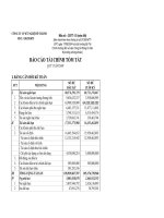 Báo cáo tài chính quý 3 năm 2008 - Công ty Cổ phần Kỹ nghệ Đô Thành