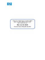 Báo cáo tài chính quý 2 năm 2011 (đã soát xét) - Công ty Cổ phần Đầu tư Phát triển Dịch vụ Công trình Công cộng Đức Long Gia Lai
