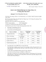 Báo cáo tình hình quản trị công ty - Công ty Cổ phần Đầu tư và Phát triển Doanh nghiệp Việt Nam