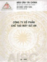 Báo cáo tài chính năm 2002 (đã kiểm toán) - Công ty Cổ phần Chế tạo máy Dzĩ An