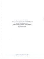 Báo cáo tài chính hợp nhất quý 2 năm 2014 (đã soát xét) - Công ty Cổ phần Hóa chất Cơ bản miền Nam