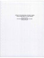 Báo cáo tài chính công ty mẹ năm 2008 (đã kiểm toán) - Công ty Cổ phần Đầu tư Phát triển Công nghệ Điện tử Viễn thông