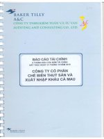 Báo cáo tài chính quý 2 năm 2010 - Công ty Cổ phần Chế biến và Xuất nhập khẩu Thuỷ sản Cà Mau