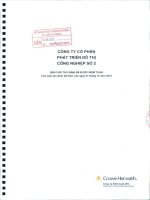 Báo cáo tài chính công ty mẹ năm 2010 (đã kiểm toán) - Công ty Cổ phần Phát triển Đô thị Công nghiệp Số 2
