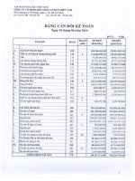 Báo cáo tài chính công ty mẹ quý 2 năm 2014 - Công ty Cổ phần Hóa chất Cơ bản miền Nam