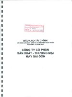 Báo cáo tài chính công ty mẹ quý 2 năm 2010 (đã soát xét) - Công ty Cổ phần Sản xuất Thương mại May Sài Gòn