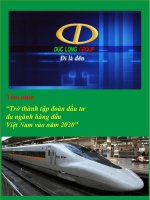 Báo cáo thường niên năm 2008 - Công ty Cổ phần Tập đoàn Đức Long Gia Lai