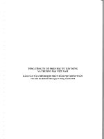 Báo cáo tài chính hợp nhất năm 2010 (đã kiểm toán) - Tổng Công ty Cổ phần Đầu tư Xây dựng và Thương mại Việt Nam