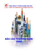 Báo cáo thường niên năm 2009 - Công ty cổ phần Dây Cáp Điện Việt Nam