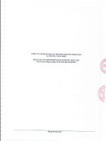 Báo cáo tài chính hợp nhất quý 2 năm 2015 (đã soát xét) - Công ty Cổ phần Đầu tư Thương mại Bất động sản An Dương Thảo Điền