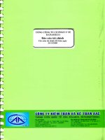 Báo cáo tài chính công ty mẹ năm 2008 (đã kiểm toán) - Tổng Công ty cổ phần Y tế Danameco