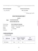 Báo cáo tình hình quản trị công ty - Công ty Cổ phần Dịch vụ Ô tô Hàng Xanh