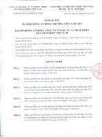 Nghị quyết Đại hội cổ đông thường niên - Công ty Cổ phần Đầu tư và Phát triển Doanh nghiệp Việt Nam