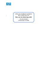 Báo cáo tài chính hợp nhất năm 2008 (đã kiểm toán) - Công ty Cổ phần Tập đoàn Đức Long Gia Lai