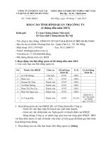 Báo cáo tình hình quản trị công ty - Công ty Cổ phần Vận tải và Quản lý Bến xe Đà Nẵng