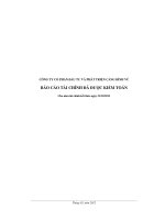 Báo cáo tài chính năm 2011 (đã kiểm toán) - Công ty cổ phần Đầu tư và Phát triển Cảng Đình Vũ