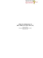 Báo cáo tài chính năm 2013 (đã kiểm toán) - Công ty Cổ phần Đầu tư Phát triển - Xây dựng số 2