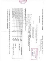 Báo cáo tình hình quản trị công ty - Công ty Cổ phần Du lịch và Xuất nhập khẩu Lạng Sơn