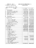 Báo cáo tài chính quý 3 năm 2008 - Công ty Cổ phần Tập đoàn Đức Long Gia Lai