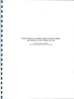 Báo cáo tài chính hợp nhất quý 3 năm 2010 - Tổng Công ty Cổ phần Đầu tư Phát triển Xây dựng