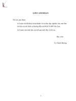 Về sự tồn tại của nghiệm bài toán cân bằng vectơ 