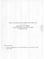 Báo cáo tài chính năm 2009 (đã kiểm toán) - Công ty Cổ phần Công nghiệp Cao su Miền Nam