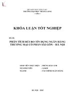 Luận văn phân tích rủi ro tín dụng ngân hàng thương mại cổ phần sài gòn   hà nội 