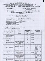 Báo cáo tình hình quản trị công ty - Công ty Cổ phần Docimexco