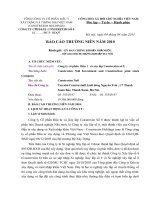 Báo cáo thường niên năm 2010 - Công ty cổ phần Đầu tư và Xây lắp Constrexim số 8