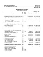 Báo cáo tài chính quý 3 năm 2010 - Công ty Cổ phần DIC - Đồng Tiến