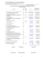 Báo cáo tài chính hợp nhất quý 4 năm 2009 - Công ty Cổ phần Đầu tư và Xây dựng Thành Nam