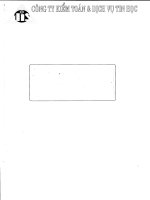 Báo cáo tài chính năm 2007 (đã kiểm toán) - Công ty Cổ phần Công viên nước Đầm Sen