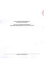 Báo cáo tài chính công ty mẹ năm 2013 (đã kiểm toán) - Công ty cổ phần Thương mại Dịch vụ Tổng hợp Cảng Hải Phòng