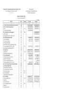 Báo cáo tài chính hợp nhất quý 2 năm 2008 - Tổng Công ty Phân bón và Hóa chất Dầu khí-CTCP