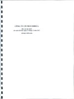 Báo cáo tài chính công ty mẹ năm 2011 (đã kiểm toán) - Công ty Cổ phần Bibica