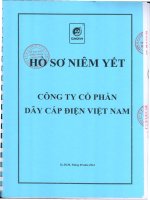 Bản cáo bạch năm 2014 - Công ty cổ phần Dây Cáp Điện Việt Nam