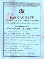 Bản cáo bạch - Công ty Cổ phần Công nghiệp Cao su Miền Nam